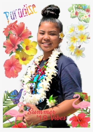 Paradise Summer Summertime Saipan Plumeria Hibiscus - Frangipani