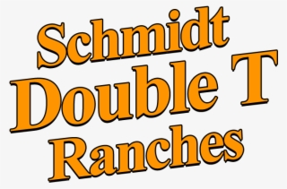 Whitetail Deer Hunts - Calligraphy