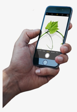 Pinterest Updates Its Image Search - Concrete