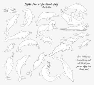 Dolphin Pose Set For Sirisola Wip By - Group Of Dolphins Drawing