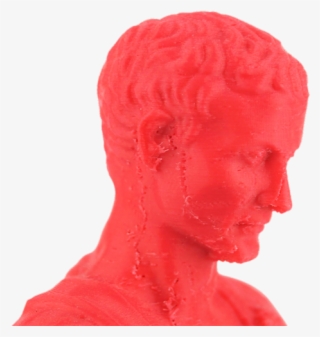 Blobs And 3d Printing Zits - Bust