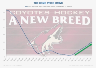 Arizona Coyotes Cutout Birthday Party Supplies