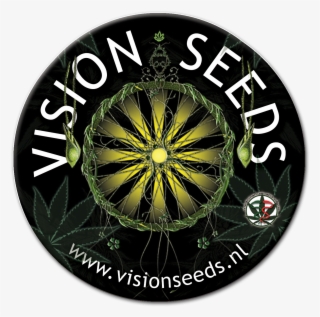 Amnesia Počet Ks Feminizované - Vision Seeds