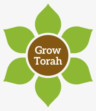 Torah Png