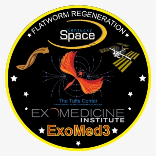 Mission Patch - Flatworm