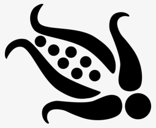 Vector Illustration Of Corn On The Cob Grain Plant - Illustration