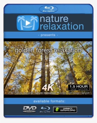 4k Resolution