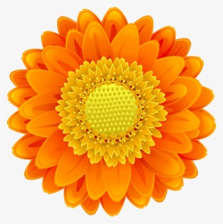 Suggested User Instagram