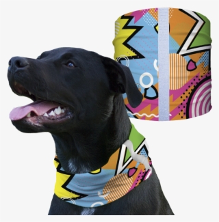 Home - Dog Confederate Flag Shirt