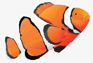Animal, Vector, Vector Pack - Peces De Agua Salada Png