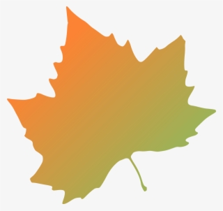 How To Set Use Plane Tree Autumn Leaf Svg Vector