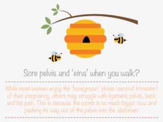 Ligaments Are Like Elastic Bands That Support The Womb - Bee