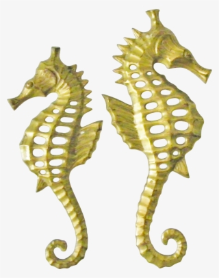 Seahorse