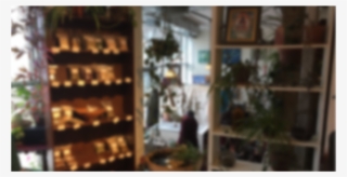 Store