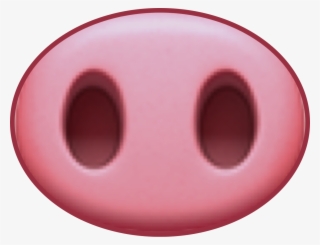 Pig Piggy Nose Nariz Cerdo Cerdito Freetoedit - Pig Nose Drawing