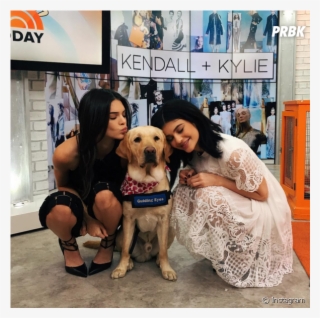 Sorte Desse Cachorro Que Conseguiu Tirar Foto Com Kendall - Today
