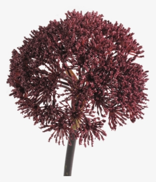 Bishop's Lace Burgundy - Bishop's Lace Burgundy Faux Flower