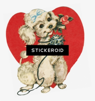 Dog - Süßer Welpe Mit Der Rose, Malend Postkarte