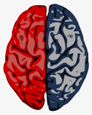 Marketing Requires Creative And Analytical Minds - Left And Right Brain Transparent
