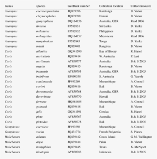 Genbank Accession Numbers And Collection Data For The - Nom Original De Chat