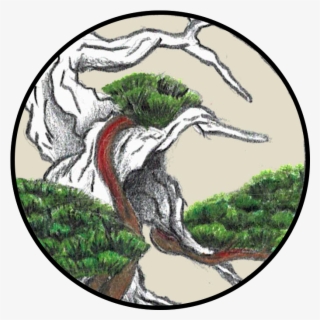 Sbs Logo 4 - Wasilla