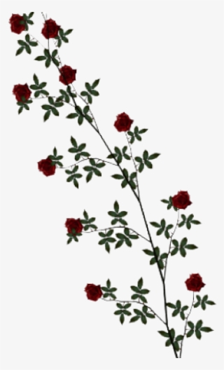 White Rose Vine Clip Art