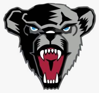 University Of Maine Black Bear