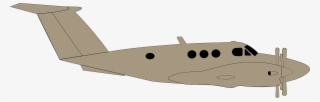 Back - Cartilaginous Fish