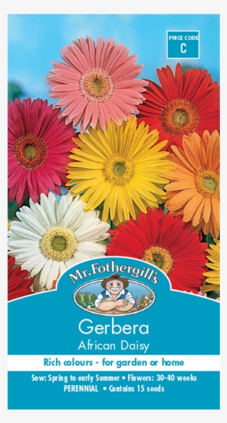 Mr Fothergill's Gerbera African Daisy Mixed Seeds - Johnsons Seeds Gerbera California Giants Mixed