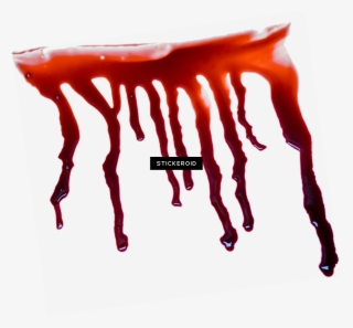 Blood