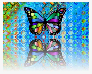 Today, While Gathering The Abundance Of An August Harvest, - Nature