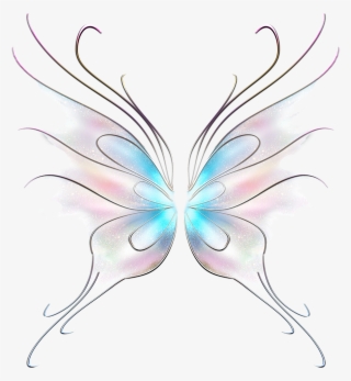 On Butterfly Wings English - Information About Butterfly