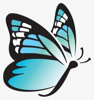 Butterfly Wings Png