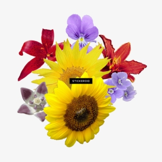 Yellow Flowers Bouquet - Flower Bouquet