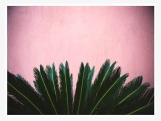 Canvas Wall Art - Fuimos Amor