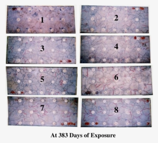 Crack Maps Over The Specimens - Bank Of Baroda