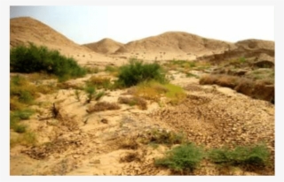 The Hilly Region In Iraq, Photo By Mudhafar Salim, - Key Biodiversity Areas Of Iraq: Priority Sites