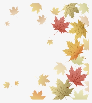 Japanese Maple Red Maple Maple Leaf Autumn - Fall Leaves Border Transparent Free
