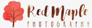 Red Maple Photography