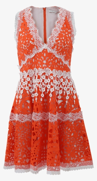 Alexis Bridget Lace Dress - Day Dress