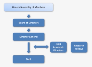 Organisation - Organization