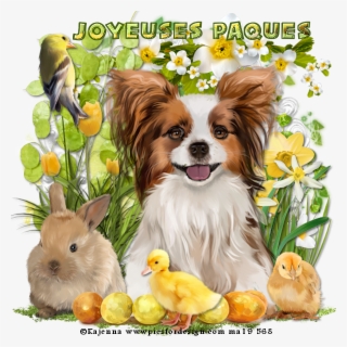 Papillon