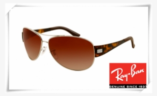 More Views - Ray Ban