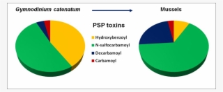 Graphical Abstract - Circle
