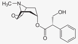 L Scopolamin
