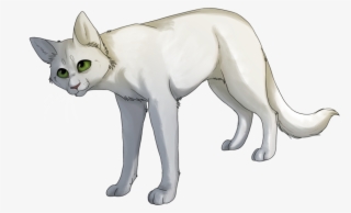 Halfmoon - Half Moon Warriors Transparent