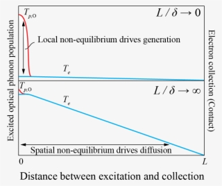 Non-equilibrium For Two Length Scales - Natural Selection