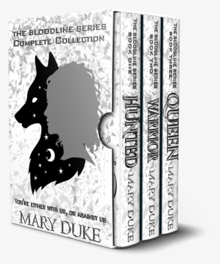 Narah - Boston Terrier