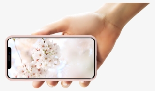 Perfect Combination Of The Silky Soft Touch Feeling - Cherry Blossom