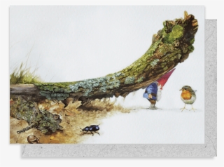 5015 Rien Poortvliet Greeting Card - Little Gnome Facts [book]